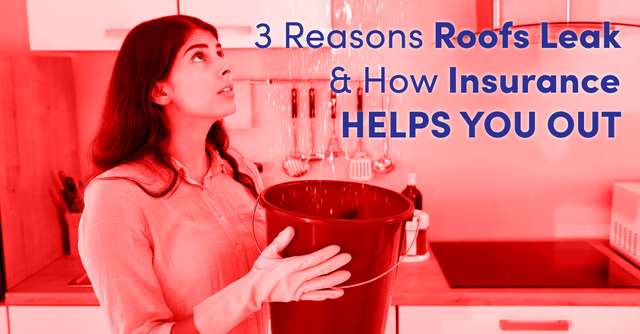 3 Reasons Roofs Leak & How Insurance Helps You Out