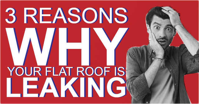 3 Reasons Why Your Flat Roof Is Leaking