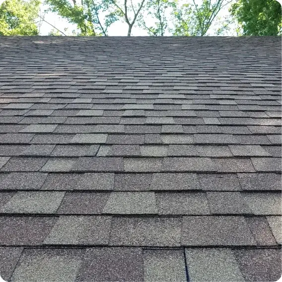 Closeup image of shingles on a roof.